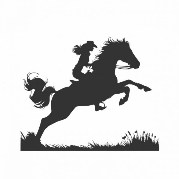 cowgirl mit pferd aufkleber für trailer anhänger western styl individuell
