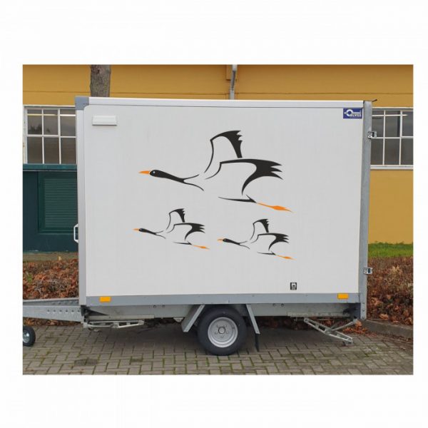 kraniche aufkleber bis xxl