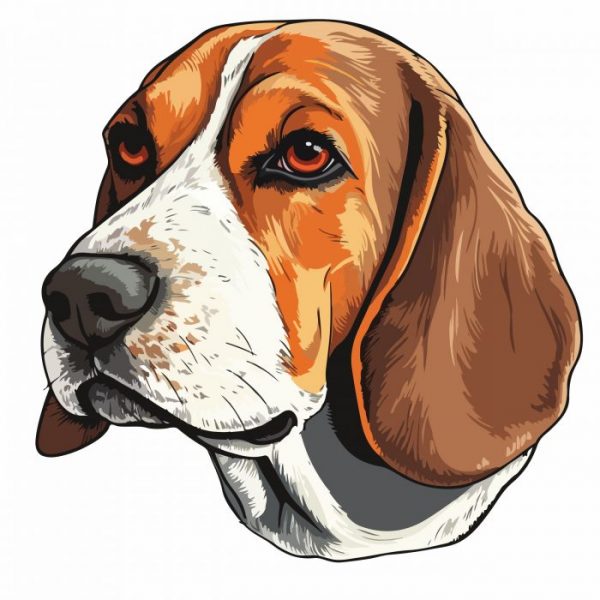 beagle aufkleber 15 x 15 cm