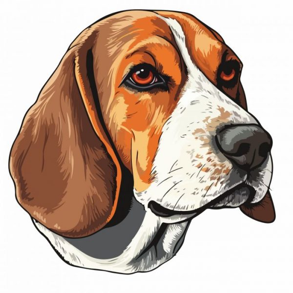 beagle aufkleber 15 x 15 cm
