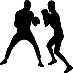 boxkampf