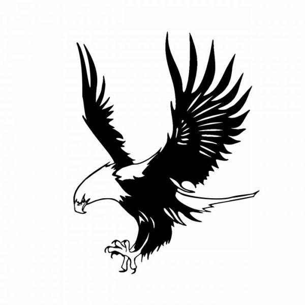 adler greifvogel aufkleber