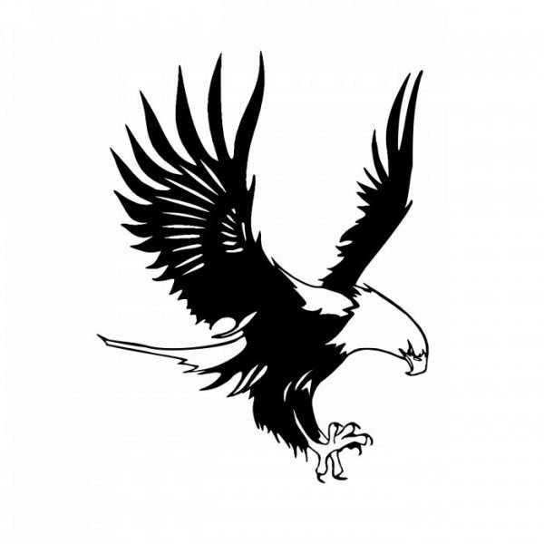 adler greifvogel aufkleber