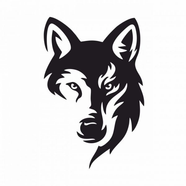 großer wolf kopf bis xxl