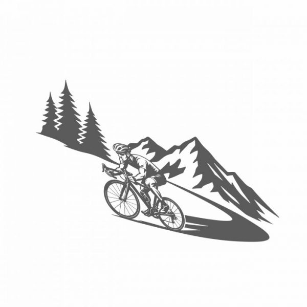radsport rennrad bis xxl