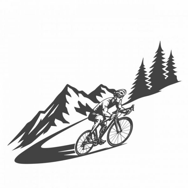 radsport rennrad bis xxl