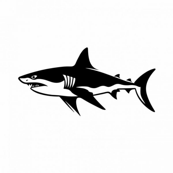 shark hai aufkleber bis xxl
