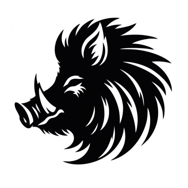 wildschwein kopf