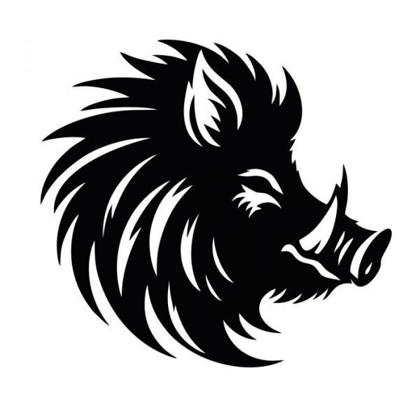 wildschwein kopf
