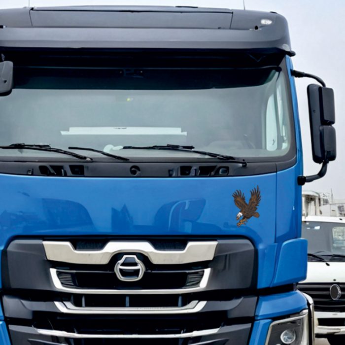 aufkleber adler digitaldruck 25 x 35 cm