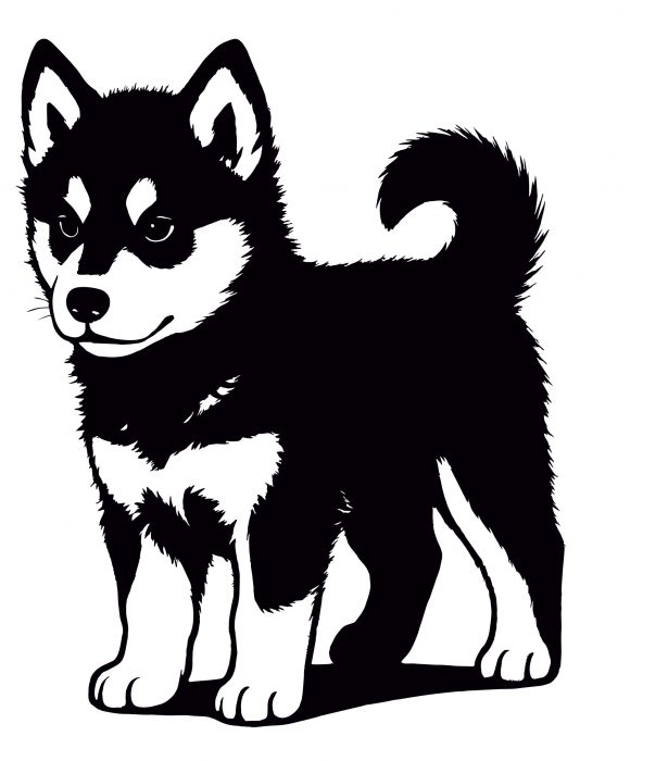 aufkleber husky welpe 20 x 25 cm