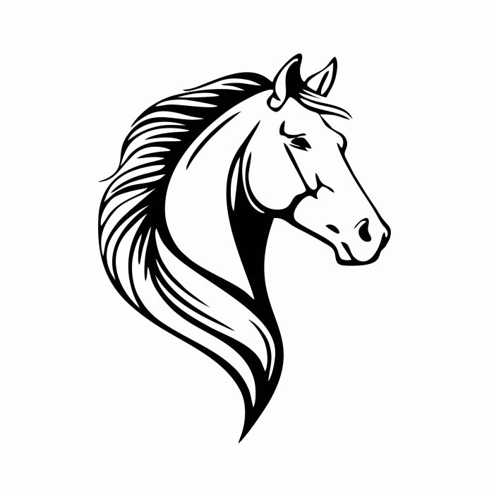 pferdeanhänger aufkleber pferdekopf