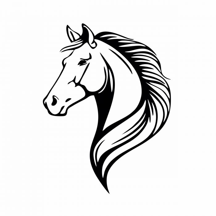 pferdeanhänger aufkleber pferdekopf