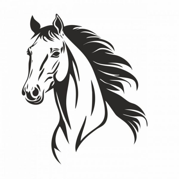 aufkleber pferd kopf für trailer