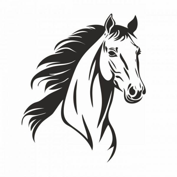 aufkleber pferd kopf für trailer