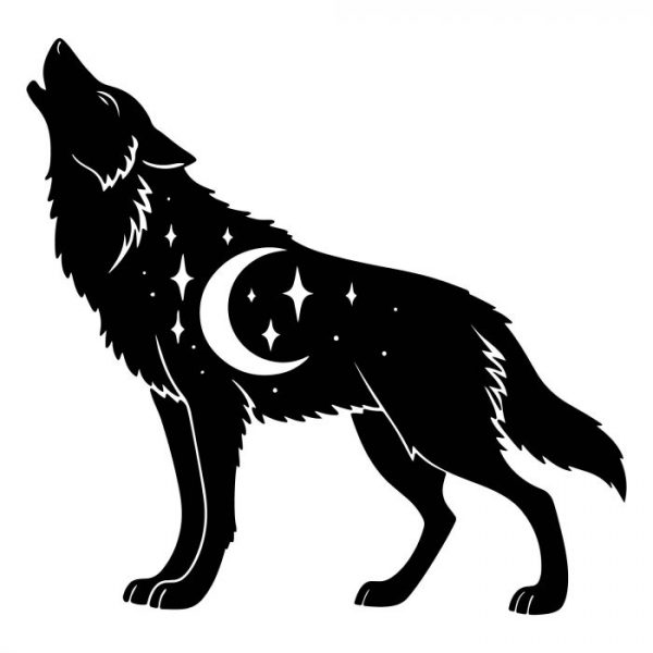 wohnmobil aufkleber wolf bei nacht größe bis xxl wetterfest