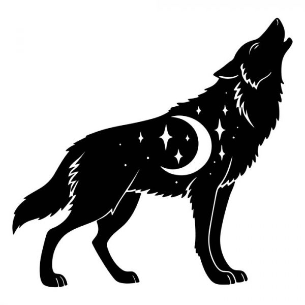 wohnmobil aufkleber wolf bei nacht größe bis xxl wetterfest