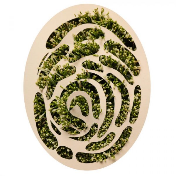 995 0569 green fingerprint