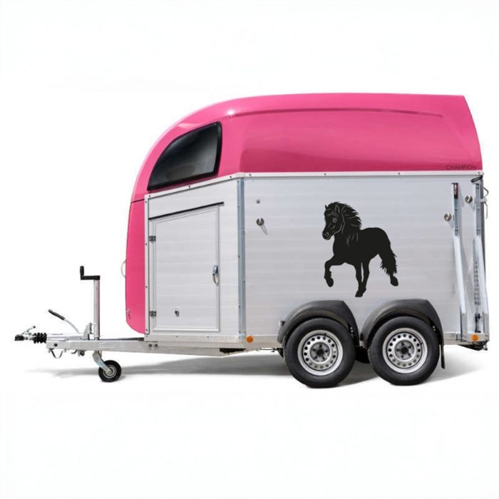 900 0607 islandpferd 70x56cm bild 2 links