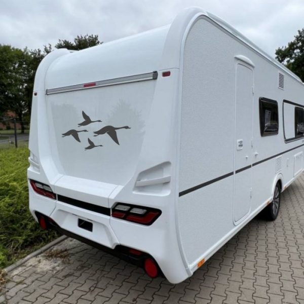wohnmobil aufkleber gänse in formation vogelschutz