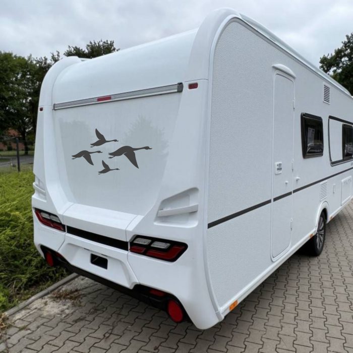 wohnmobil aufkleber gänse in formation vogelschutz