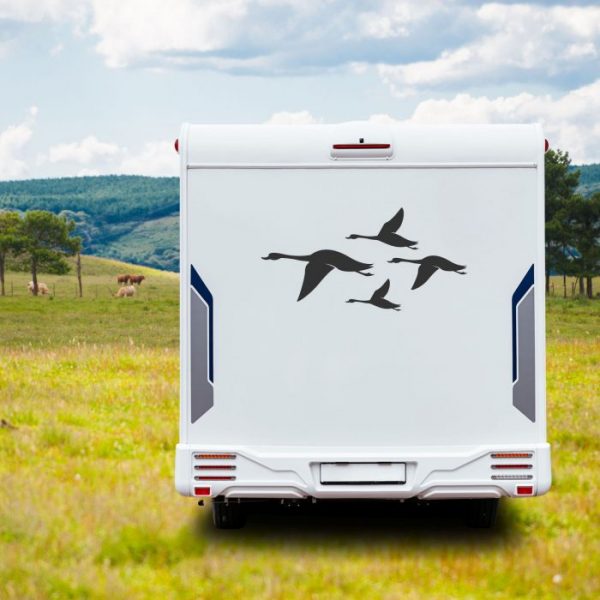 wohnmobil aufkleber gänse in formation vogelschutz