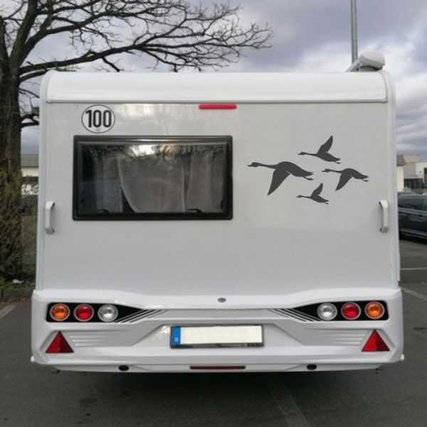 wohnmobil aufkleber gänse in formation vogelschutz