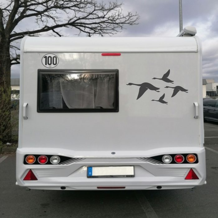 wohnmobil aufkleber gänse in formation vogelschutz
