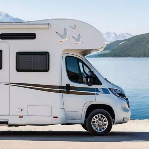 wohnmobil möve aufkleber 3er set