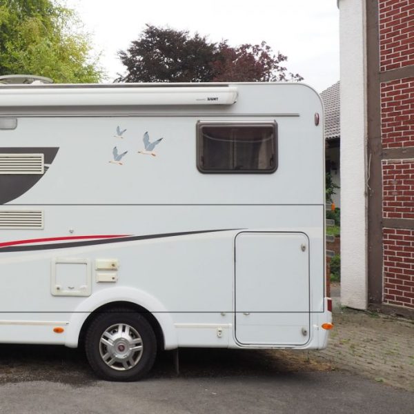 wohnmobil möve aufkleber 3er set