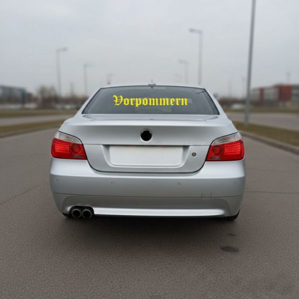 700 0579 vorpommer schriftzug 80 x 10 cm 03